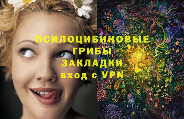 твердый Алексин