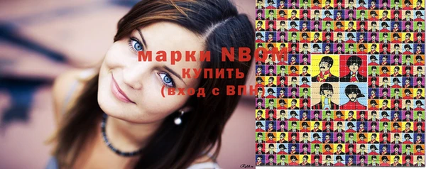 твердый Алексин