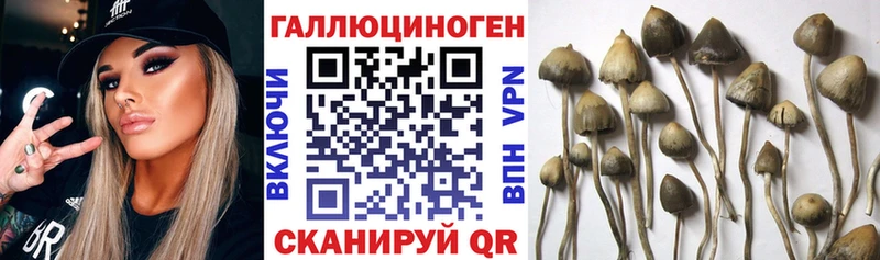Псилоцибиновые грибы Cubensis  даркнет сайт  blacksprut зеркало  Шатура 