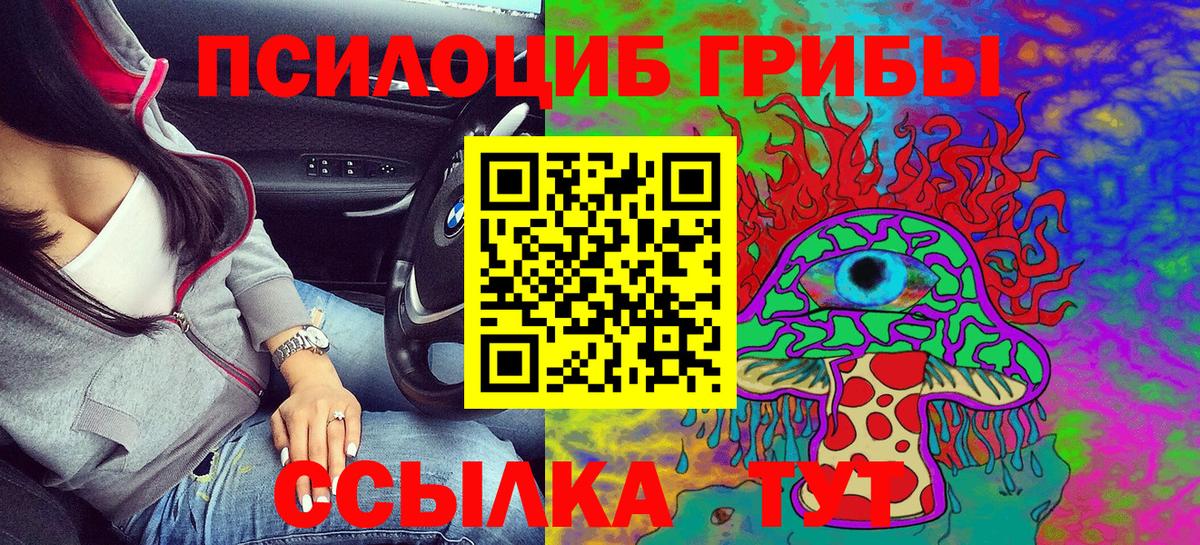 Псилоцибиновые грибы MAGIC MUSHROOMS Шатура