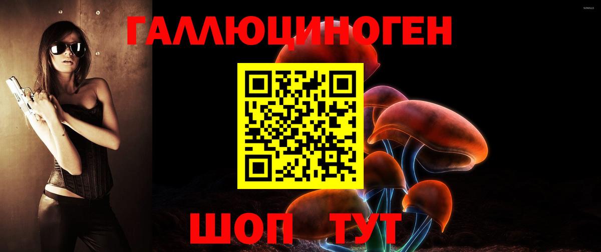 Псилоцибиновые грибы MAGIC MUSHROOMS  Вход с VPN  Шатура 